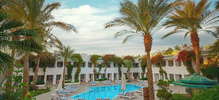 Hotel Falcon Hills Sharm El Sheikh: Foto 