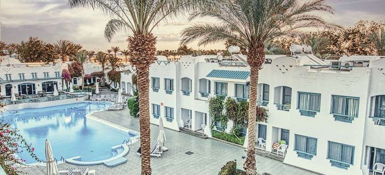 Hotel Falcon Hills Sharm El Sheikh: Foto 