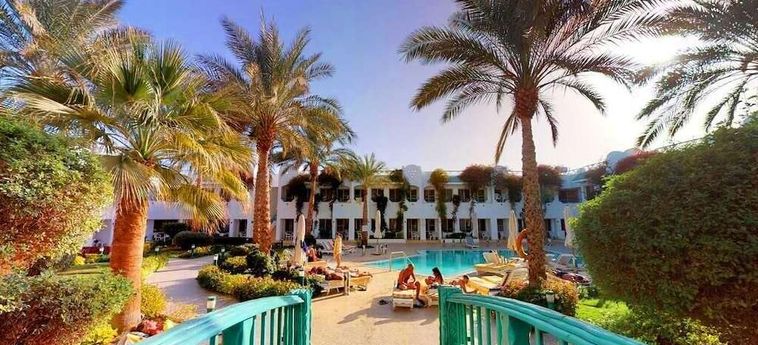 Hotel Falcon Hills Sharm El Sheikh: Foto 