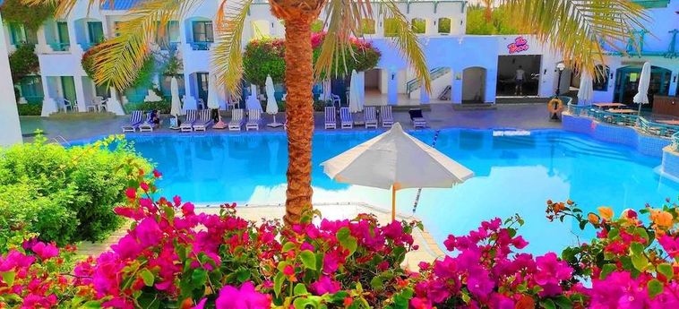 Hotel Falcon Hills Sharm El Sheikh: Foto 
