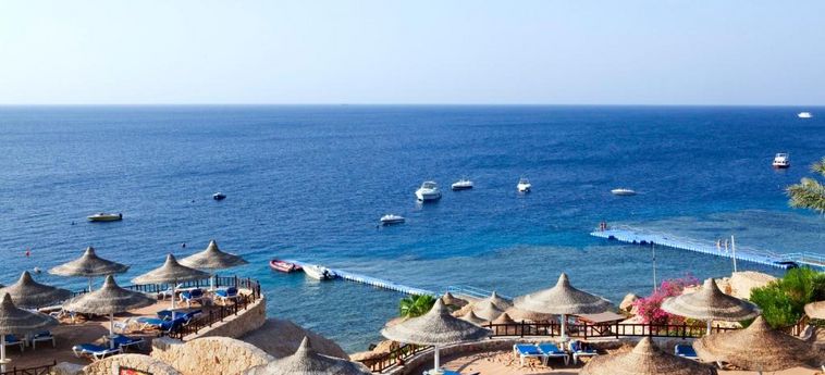 Hotel Doubletree By Hilton Sharm El Sheikh - Sharks Bay Resort:  SHARM EL SHEIKH
