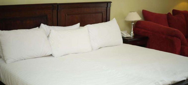 Hotel Tolip Inn Sharm:  SHARM EL SHEIKH