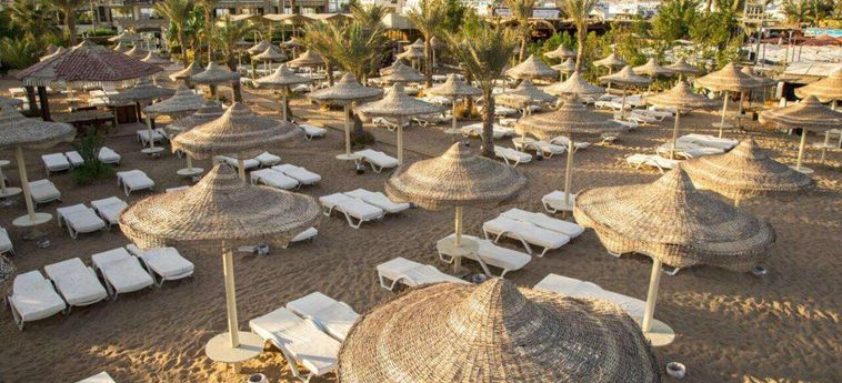 Hotel Cataract Resort Sharm El Sheik Sharm El Sheikh: Foto 