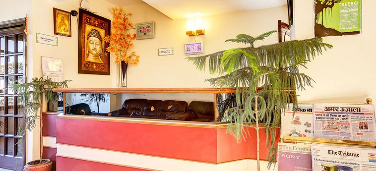 Hotel Treebo Varuna Shimla: Foto 