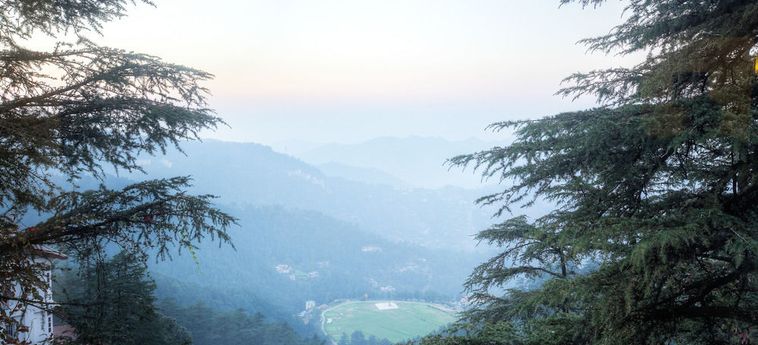 Hotel Treebo Varuna Shimla: Foto 