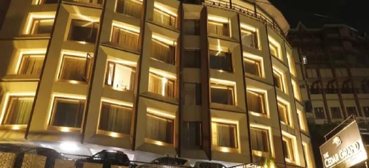 The Cedar Grand - Hotel &Amp; Spa Shimla: Foto 
