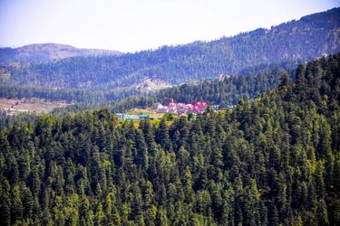 Hotel Westend Homestay Shimla: Photo 