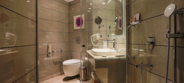 Welcomhotel By Itc Hotels, Shimla Shimla: Foto 