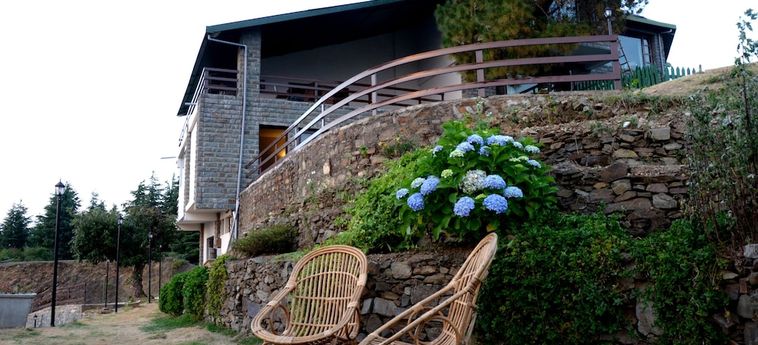 Hotel Woodsmoke Resort &Amp; Spa Shimla: Foto 