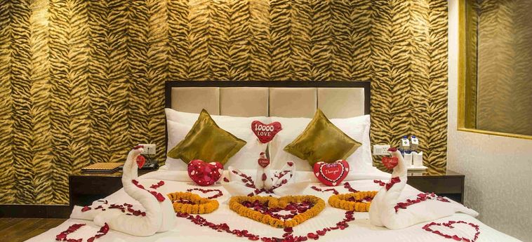 Treehouse Mars Valley View:  SHIMLA