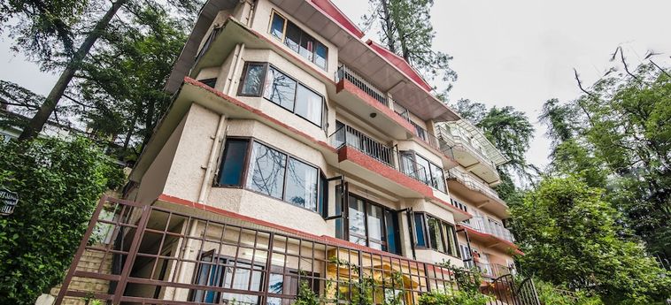 Hotel Treebo Trip Avantika Shimla: Foto 
