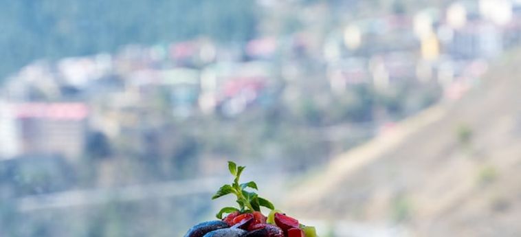 Hotel The Orchid Shimla Shimla: Foto 