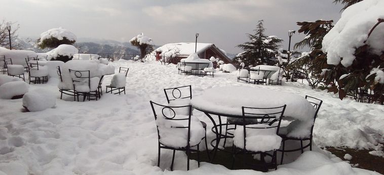 Hotel The Chalets Naldehra Shimla: Foto 