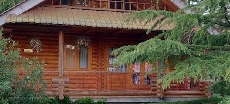 Hotel The Chalets Naldehra Shimla: Foto 