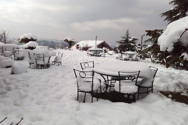 Hotel The Chalets Naldehra Shimla: Photo 