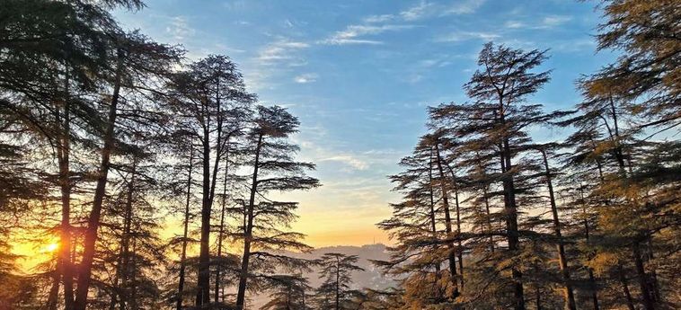 Hotel Woodville Palace Shimla : Photo 