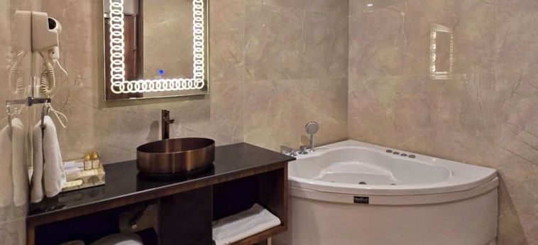 Hotel Woodville Palace Shimla : Photo 