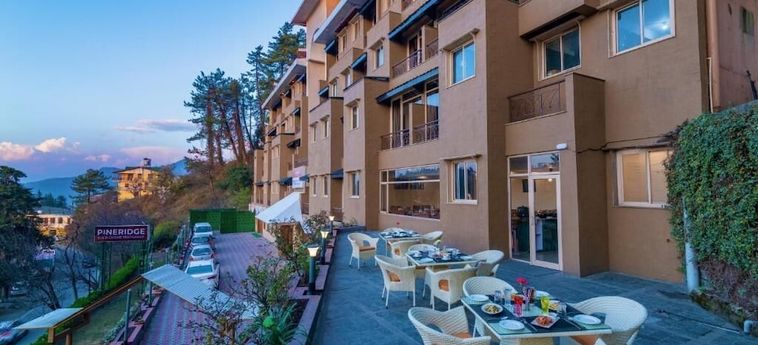 Hotel Summit Naldehra Grand Resort &Amp; Spa Shimla: Foto 