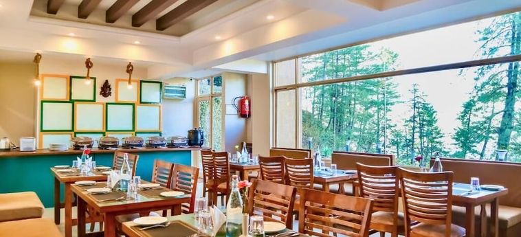 Hotel Summit Naldehra Grand Resort &Amp; Spa Shimla: Photo 