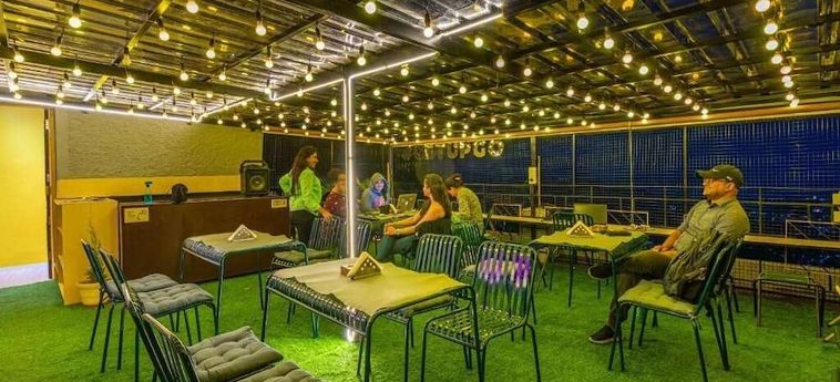 The Hosteller Shimla Shimla: Photo 