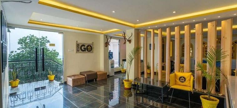 The Hosteller Shimla Shimla: Photo 