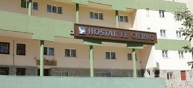 Hotel Hostal El Ciervo:  SIERRA NEVADA