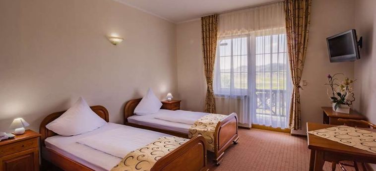 Hotel Europa 2000:  SIGHISOARA