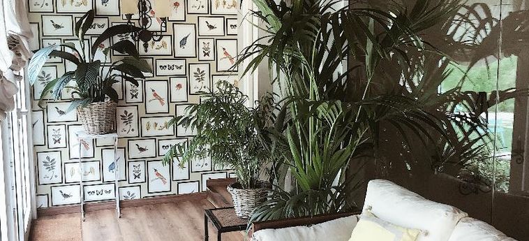 Ecohotel Nos Silleda - Pontevedra: Foto 