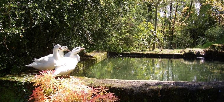 Casa Grande De Fuentemayor Silleda - Pontevedra: Foto 