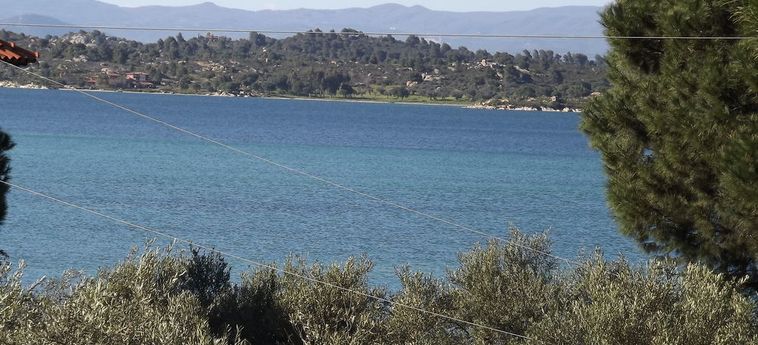 Pefka Studios &Amp; Apartments Sithonia - Porto Carra: Foto 