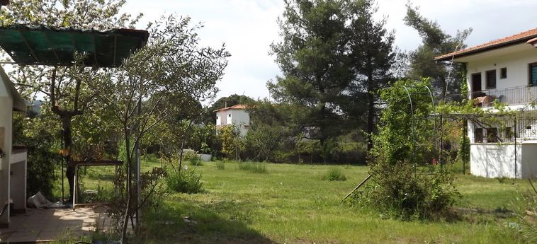 Pefka Studios &Amp; Apartments Sithonia - Porto Carra: Foto 