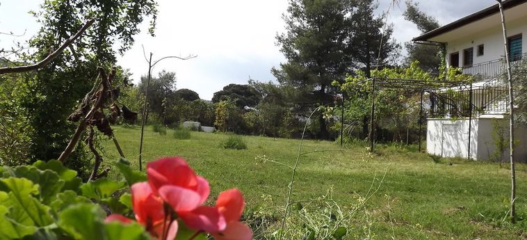 Pefka Studios &Amp; Apartments Sithonia - Porto Carra: Foto 