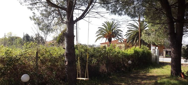 Pefka Studios &Amp; Apartments Sithonia - Porto Carra: Foto 