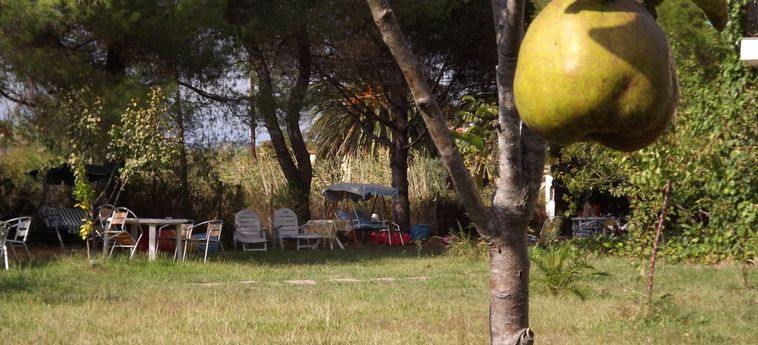 Pefka Studios &Amp; Apartments Sithonia - Porto Carra: Foto 