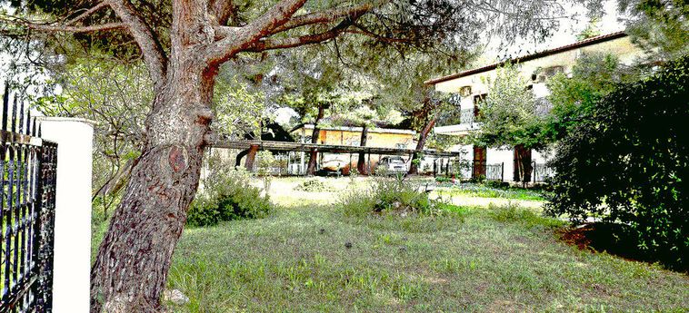 Pefka Studios &Amp; Apartments Sithonia - Porto Carra : Photo 