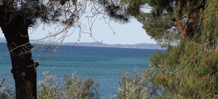 Pefka Studios &Amp; Apartments Sithonia - Porto Carra : Photo 