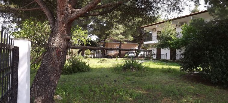 Pefka Studios &Amp; Apartments Sithonia - Porto Carra : Photo 