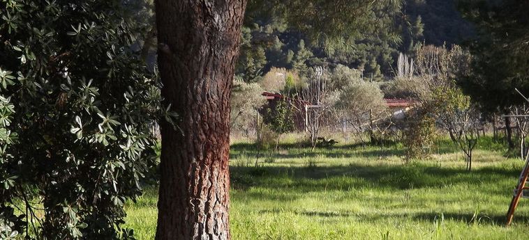 Pefka Studios &Amp; Apartments Sithonia - Porto Carra: Foto 