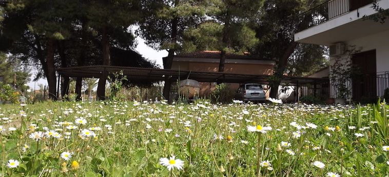 Pefka Studios &Amp; Apartments Sithonia - Porto Carra: Foto 