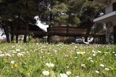 Pefka Studios &Amp; Apartments Sithonia - Porto Carra: Photo 