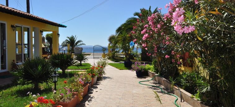 Hotel Studios Castro Sithonia - Porto Carra : Photo 