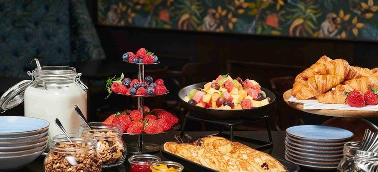Thonh Hotel Hoyers:  SKIEN