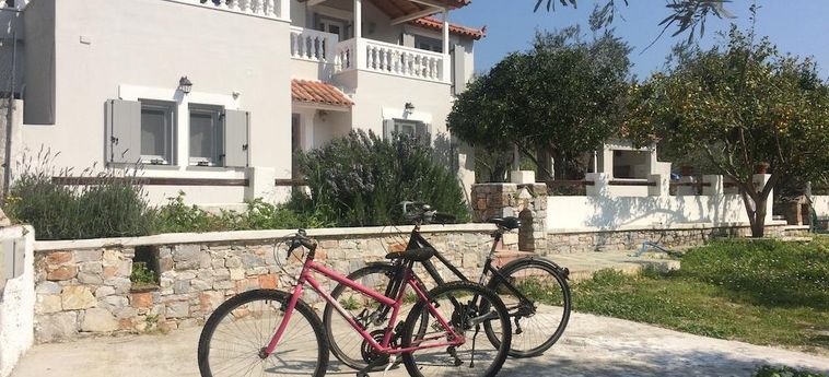 Hotel Villa Tillia Skopelos: Photo 