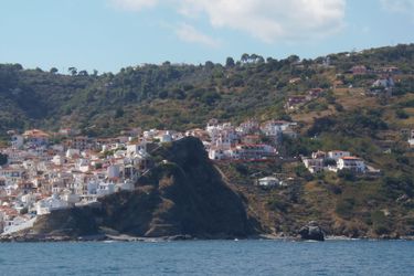 Hotel Studios Milos Skopelos Skopelos: Photo 