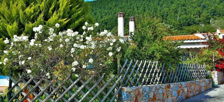 Hotel Alexios Studios Skopelos: Foto 