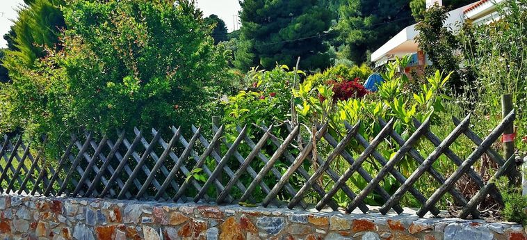 Hotel Alexios Studios Skopelos : Photo 