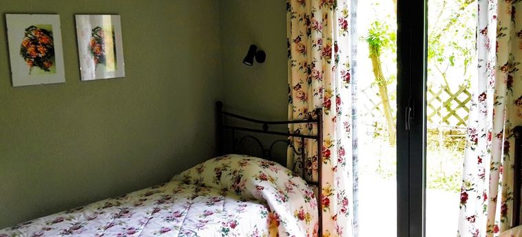 Hotel Alexios Studios Skopelos : Photo 