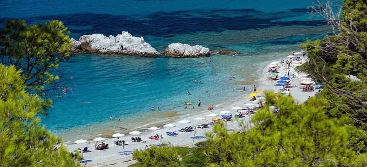 Hotel Alexios Studios Skopelos : Photo 
