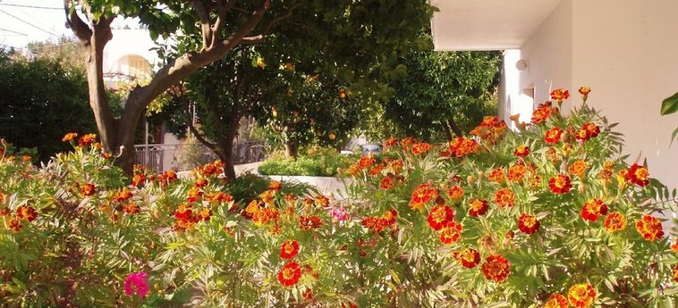 Hotel Alexios Studios Skopelos: Foto 