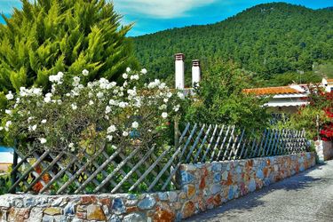 Hotel Alexios Studios Skopelos: Photo 